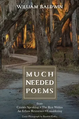 Poezii foarte necesare - Much Needed Poems