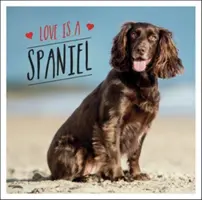 Love is a Spaniel - O celebrare dog-tastică a celei mai adorabile rase din lume - Love is a Spaniel - A Dog-Tastic Celebration of the World's Most Lovable Breed