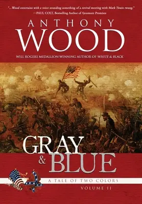 Gri și albastru: Un roman al Războiului Civil - Gray & Blue: A Novel of the Civil War