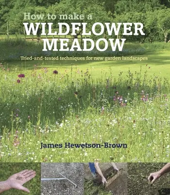 Cum să faci o pajiște de flori sălbatice - Tehnici încercate și testate pentru noi peisaje de grădină - How to make a wildflower meadow - Tried-And-Tested Techniques for New Garden Landscapes