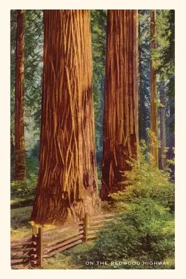 Jurnalul Vintage Giant Redwoods - The Vintage Journal Giant Redwoods