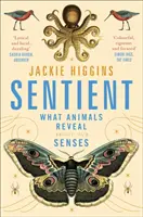 Sentient - Ce dezvăluie animalele despre simțurile umane - Sentient - What Animals Reveal About Human Senses