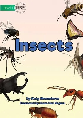 Insecte - Insects
