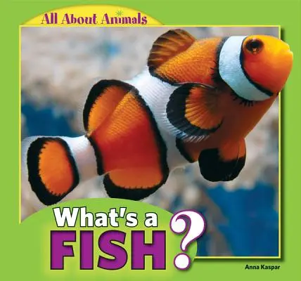 Ce este un pește? - What's a Fish?