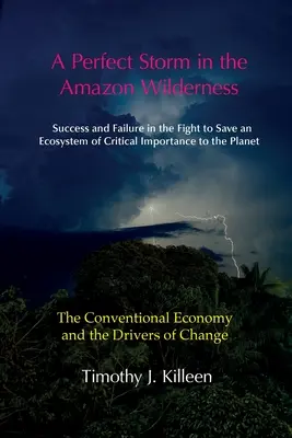 O furtună perfectă în Amazon. Volumul 1: Economia convențională și factorii determinanți ai schimbării - A Perfect Storm in the Amazon. Volume 1: The Conventional Economy and the Drivers of Change