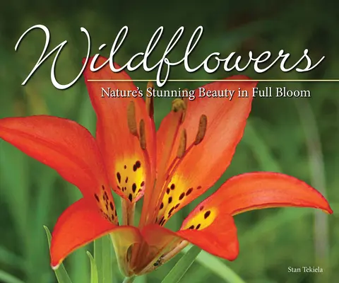 Flori sălbatice: Frumusețea uimitoare a naturii pe ecran - Wildflowers: Nature's Stunning Beauty on Display