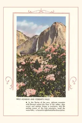 The Vintage Journal Azalee sălbatice la Yosemite - The Vintage Journal Wild Azaleas at Yosemite