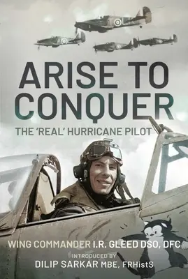 Arise to Conquer: „Adevăratul” pilot Hurricane - Arise to Conquer: The 'Real' Hurricane Pilot