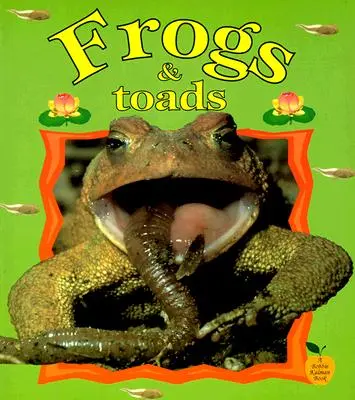 Broaște și broaște țestoase - Frogs & Toads