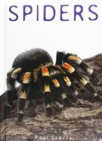 Păianjeni - Spiders