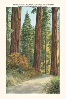 Jurnalul Vintage Parcul Național Sequoia - The Vintage Journal Sequoia National Park