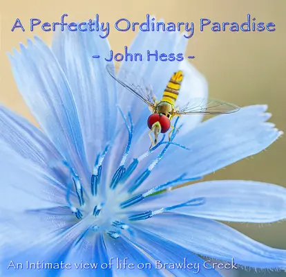 A Perfectly Ordinary Paradise: O privire intimă asupra vieții pe Brawley Creek - A Perfectly Ordinary Paradise: An Intimate View of Life on Brawley Creek