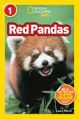 Pandorele roșii - Red Pandas