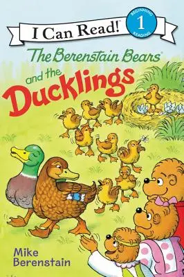 Ursuleții Berenstain și rățuștele - The Berenstain Bears and the Ducklings