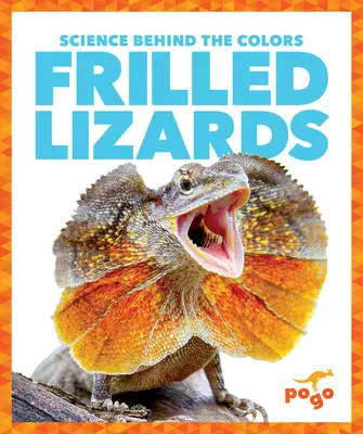 Șopârle cu franjuri - Frilled Lizards