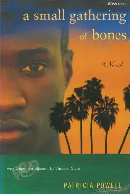 O mică adunare de oase - A Small Gathering of Bones
