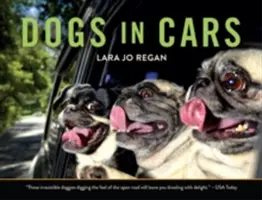 Câini în mașini - Dogs in Cars