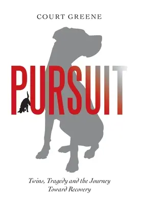 Pursuit: Gemeni, tragedie și călătoria spre recuperare - Pursuit: Twins, Tragedy and the Journey Toward Recovery