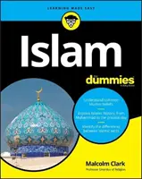 Islam pentru proști - Islam for Dummies