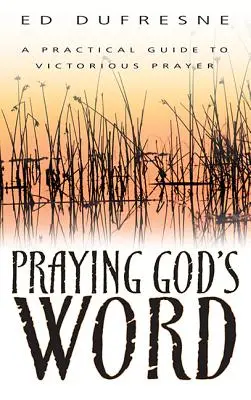Rugăciunea pentru Cuvântul lui Dumnezeu: Un ghid practic pentru o rugăciune victorioasă - Praying God's Word: A Practical Guide to Victorious Prayer
