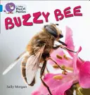 Albinele Buzzy - Buzzy Bees
