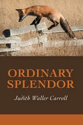 Splendoarea obișnuită - Ordinary Splendor