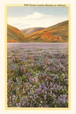 The Vintage Journal Flori sălbatice în California - The Vintage Journal Wildflowers in California