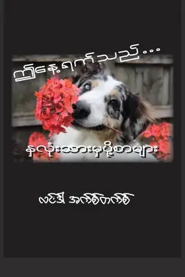 Aceasta este ziua (birmaneză): Scrisori din inimă - This Is the Day (Burmese): Letters from the Heart