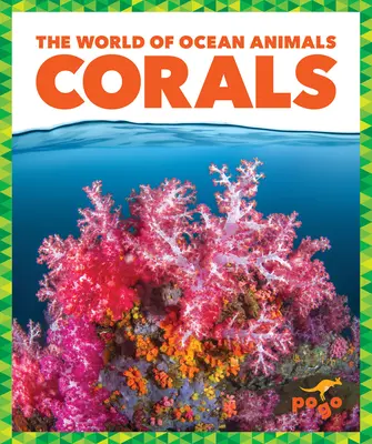 Corali - Corals