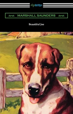 Joe cel Frumos - Beautiful Joe