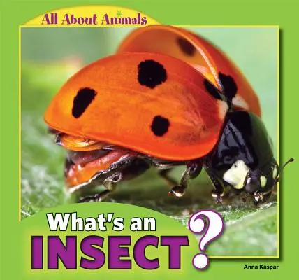 Ce este o insectă? - What's an Insect?