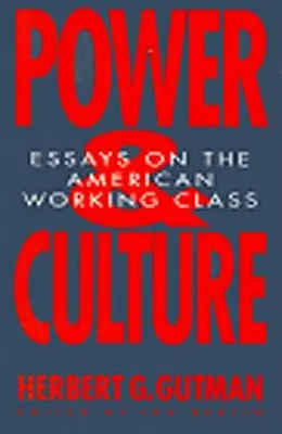 Putere și cultură: Eseuri despre clasa muncitoare americană - Power and Culture: Essays on the American Working Class