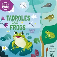 Mormoloci și broaște - Fă-ți propriul model! - Tadpoles and Frogs - Make Your Own Model!