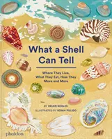 Ce poate spune o scoică - What A Shell Can Tell