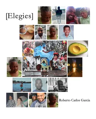 [elegii] - [elegies]