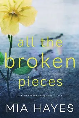 Toate piesele rupte - All The Broken Pieces
