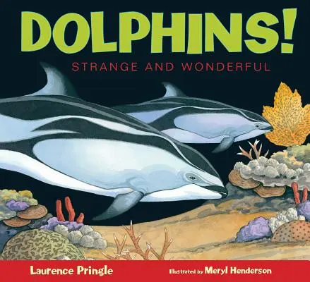 Delfinii! - Dolphins!