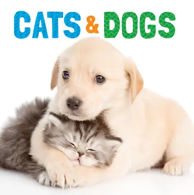 Pisici și câini - Cats & Dogs