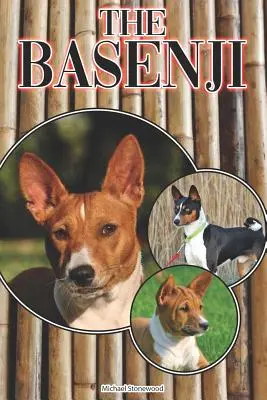 Basenji: Un ghid complet și cuprinzător pentru începători pentru: Cumpărarea, Deținerea, Sănătatea, Îngrijirea, Dresajul, Obediența, Înțelegerea - The Basenji: A Complete and Comprehensive Beginners Guide To: Buying, Owning, Health, Grooming, Training, Obedience, Understanding