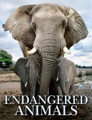 Animale pe cale de dispariție - Endangered Animals