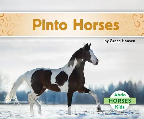 Cai Pinto - Pinto Horses