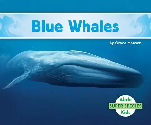 Balene albastre - Blue Whales