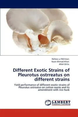 Diferite tulpini exotice de Pleurotus Ostrreatus pe diferite tulpini - Different Exotic Strains of Pleurotus Ostrreatus on Different Strains