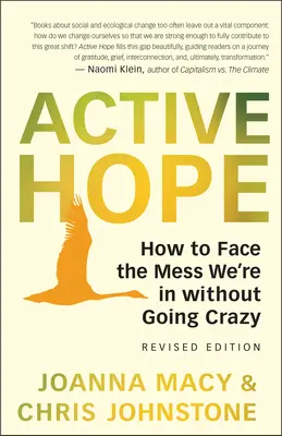 Speranță activă (revizuită): Cum să înfruntăm mizeria în care ne aflăm cu reziliență neașteptată și putere creativă - Active Hope (Revised): How to Face the Mess We're in with Unexpected Resilience and Creative Power