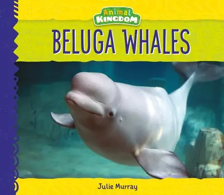 Balene Beluga - Beluga Whales