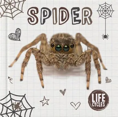 Păianjenul - Spider