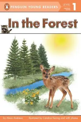 În pădure - In the Forest
