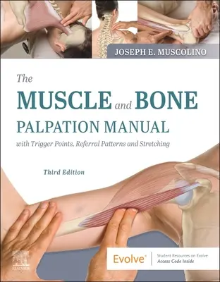 The Muscle and Bone Palpation Manual with Trigger Points, Referral Patterns and Stretching (Manual de palpare a mușchilor și oaselor cu puncte de declanșare, modele de trimitere și stretching) - The Muscle and Bone Palpation Manual with Trigger Points, Referral Patterns and Stretching