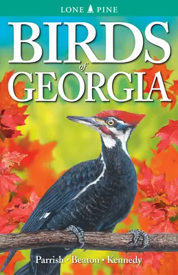Păsările din Georgia - Birds of Georgia
