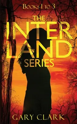 Seria Interland Cărțile de la 1 la 3 - Interland Series Books 1 to 3